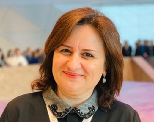 Айнур Насирова:  Наша диаспора должна развеять миф, созданный армянами 